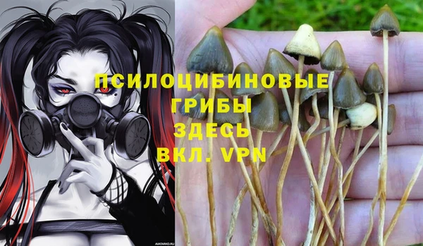 таблы Коряжма