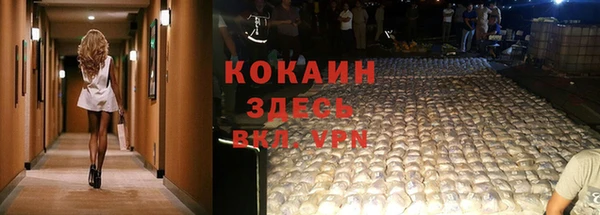 ECSTASY Козловка